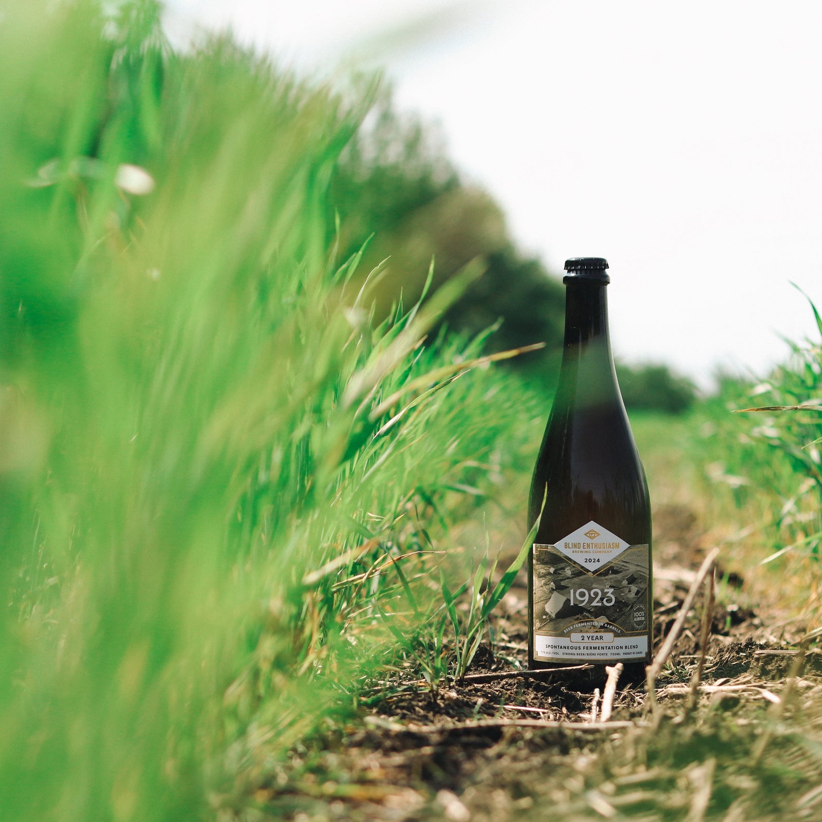 Release Report – 1923