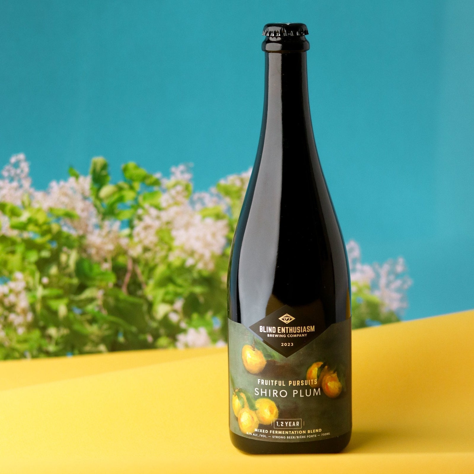 Release Report – Fruitful Pursuits: Shiro Plum 2023