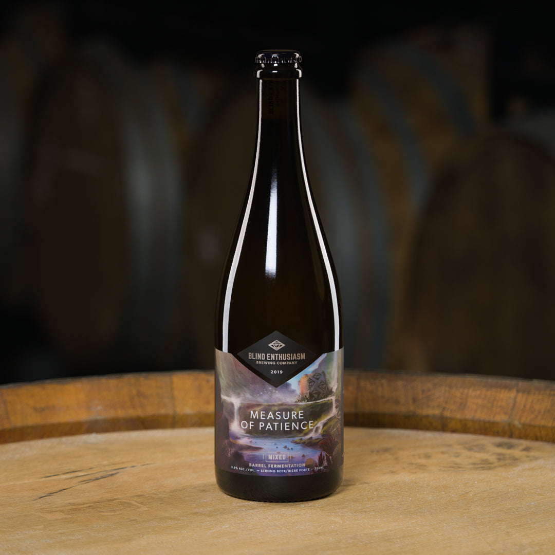 The Story of Measure of Patience (2019)