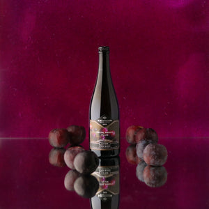 Fruitful Pursuits: Plum 2024