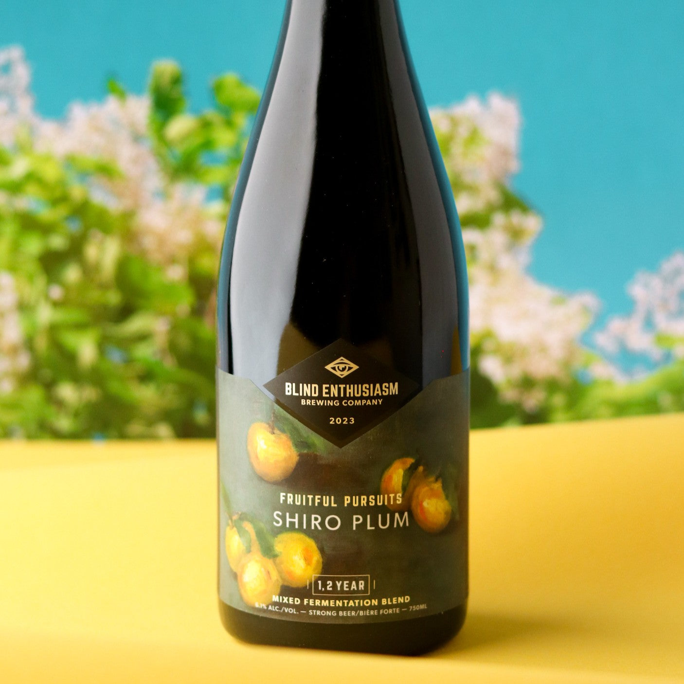 Fruitful Pursuits: Shiro Plum 2023 375ml