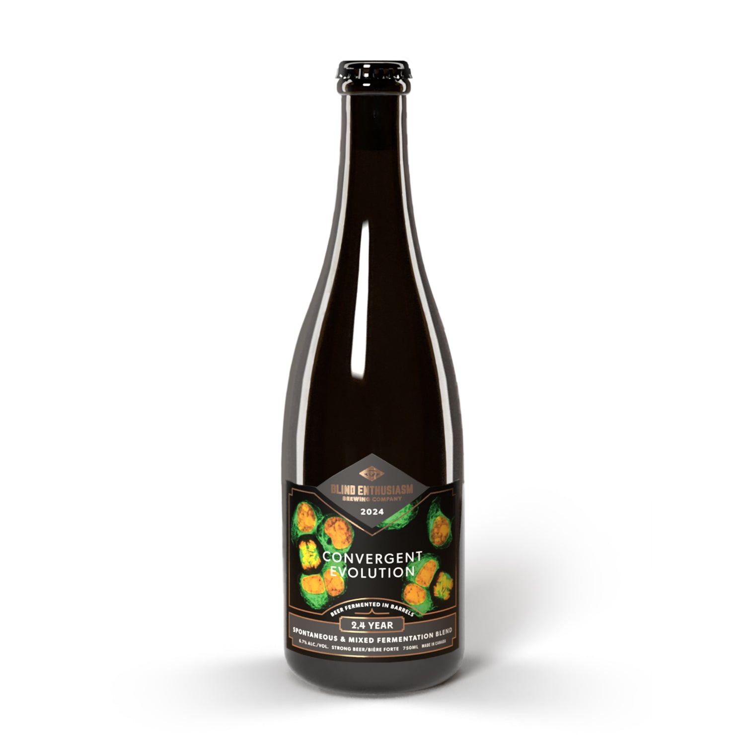 Convergent Evolution 2024