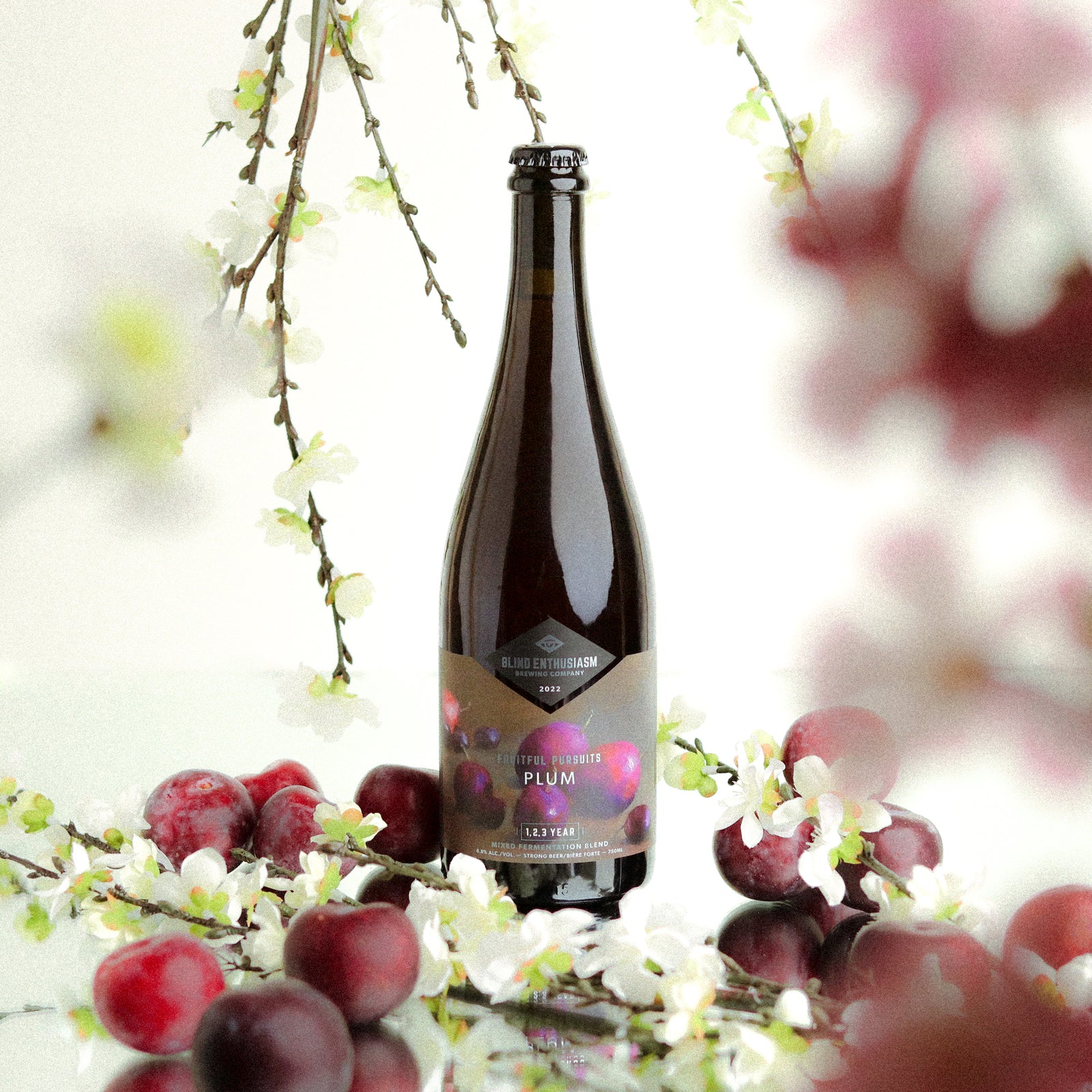 Fruitful Pursuits: Plum 2022 375ml
