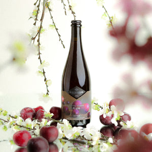 Fruitful Pursuits: Plum 2022 375ml