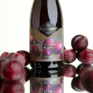 Fruitful Pursuits: Plum 2022 375ml
