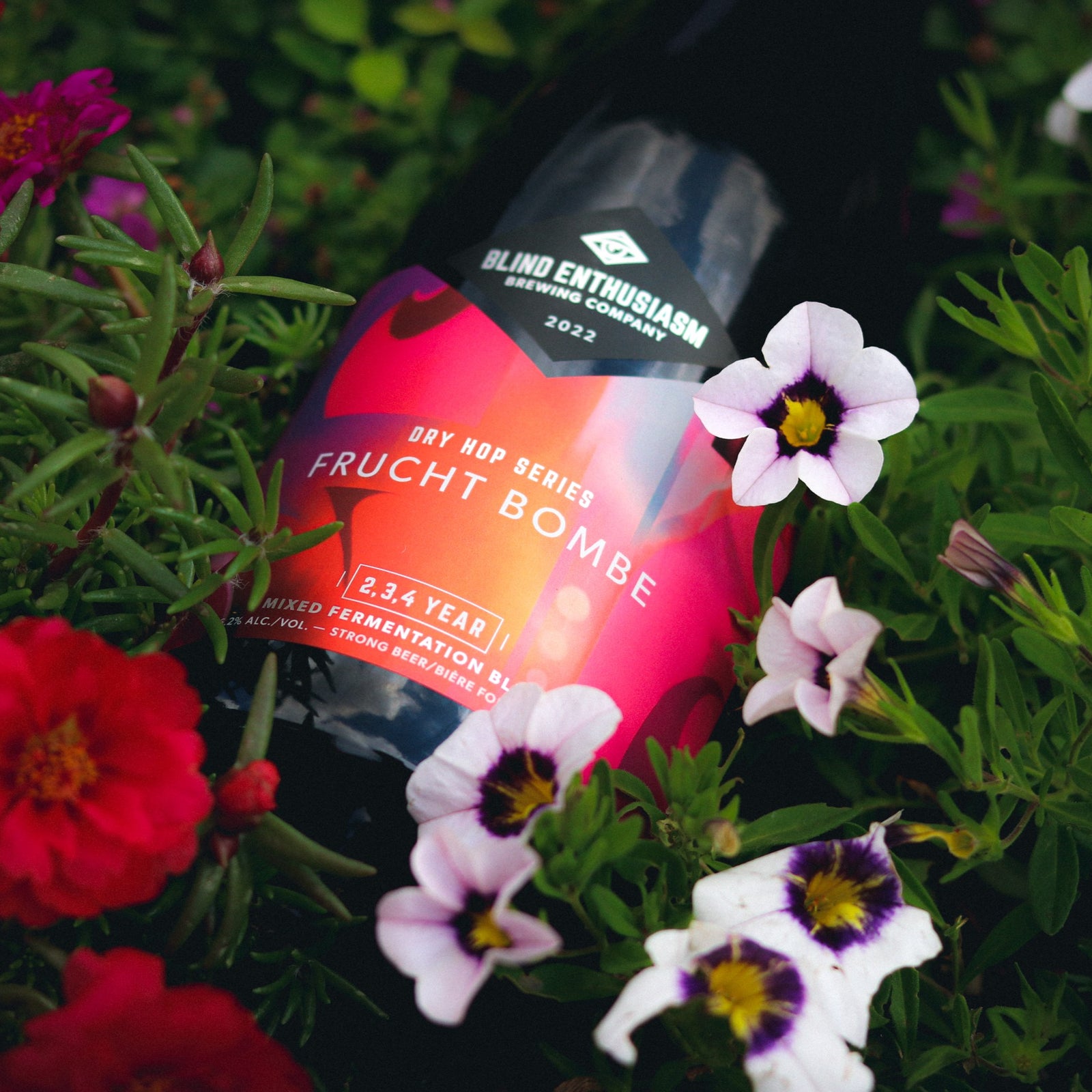 Dry Hop Series: Frucht Bombe 2022 375ml