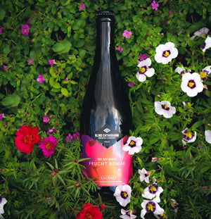 Dry Hop Series: Frucht Bombe 2022 375ml