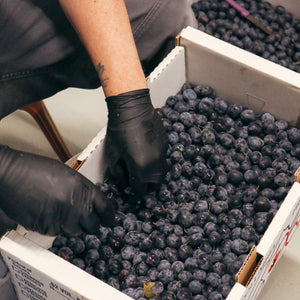 Fruitful Pursuits: Plum Vertical Vintage 3-Pack