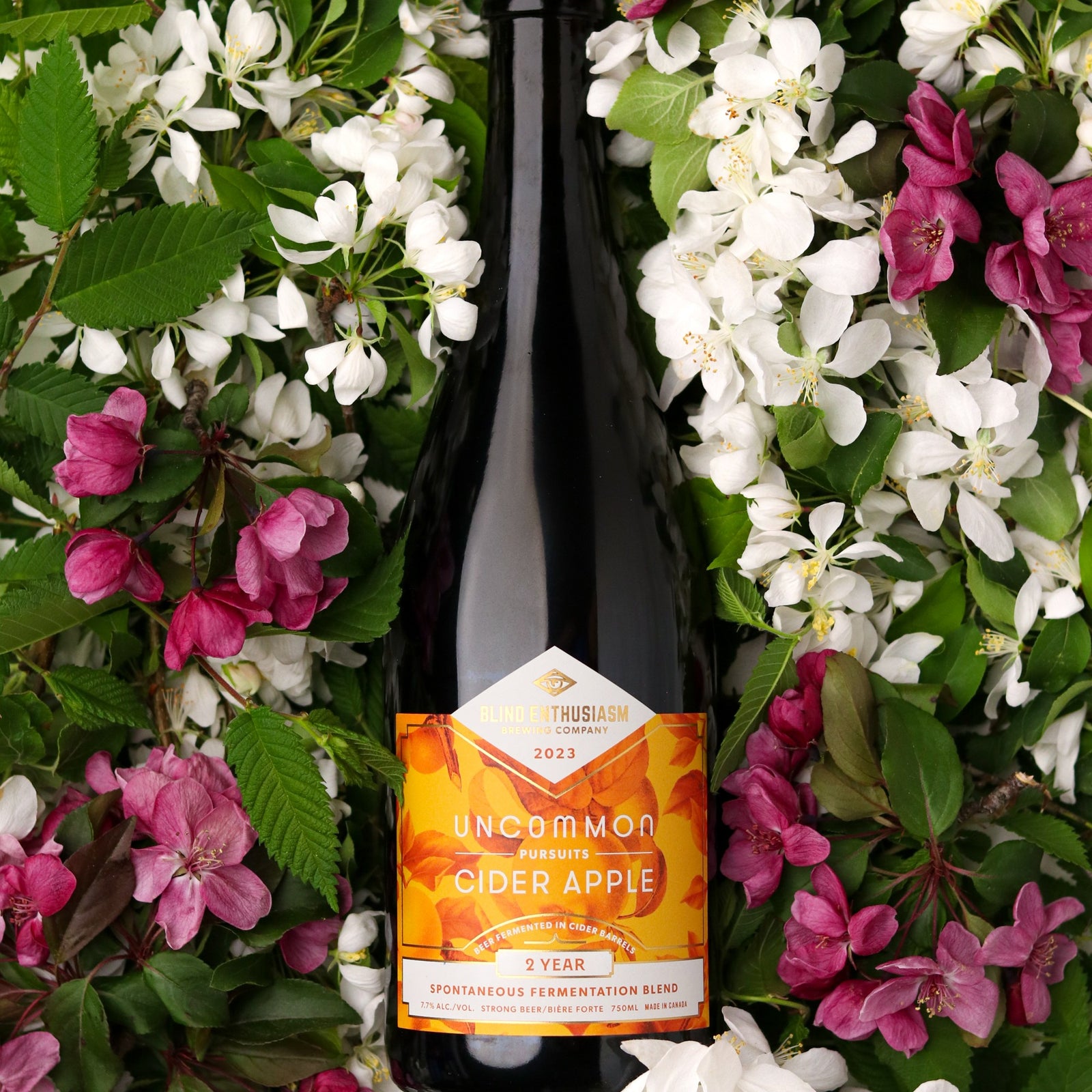 Uncommon Pursuits: Cider Apple