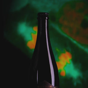 Convergent Evolution 2024 375ml